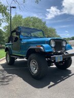 Thumbnail Photo 3 for 1982 Jeep CJ 7 Renegade for Sale by Owner