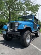 Thumbnail Photo 1 for 1982 Jeep CJ 7 Renegade for Sale by Owner