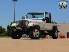 Thumbnail Photo 2 for 1982 Jeep Scrambler
