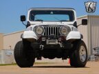 Thumbnail Photo 6 for 1982 Jeep Scrambler