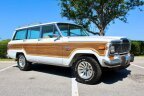Thumbnail Photo 4 for 1982 Jeep Wagoneer