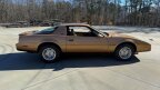 Thumbnail Photo 5 for 1982 Pontiac Firebird SE Coupe