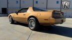 Thumbnail Photo 4 for 1982 Pontiac Firebird SE Coupe