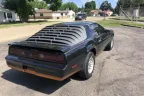Thumbnail Photo 3 for 1982 Pontiac Firebird