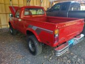 1982 Toyota Pickup
