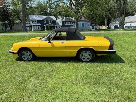 Photo 1 for 1983 Alfa Romeo Spider Veloce for Sale by Owner