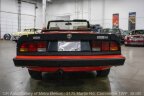 Thumbnail Photo 6 for 1983 Alfa Romeo Spider