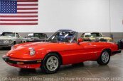 1983 Alfa Romeo Spider