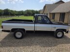Thumbnail Photo 2 for 1983 Chevrolet C/K Truck C10 for Sale by Owner