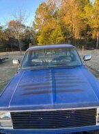 Thumbnail Photo 3 for 1983 Chevrolet C/K Truck