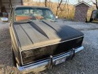 Thumbnail Photo 1 for 1983 Chevrolet C/K Truck C10 for Sale by Owner