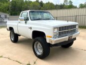 1983 Chevrolet C/K Truck Scottsdale