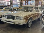 Thumbnail Photo 5 for 1983 Chrysler LeBaron Convertible