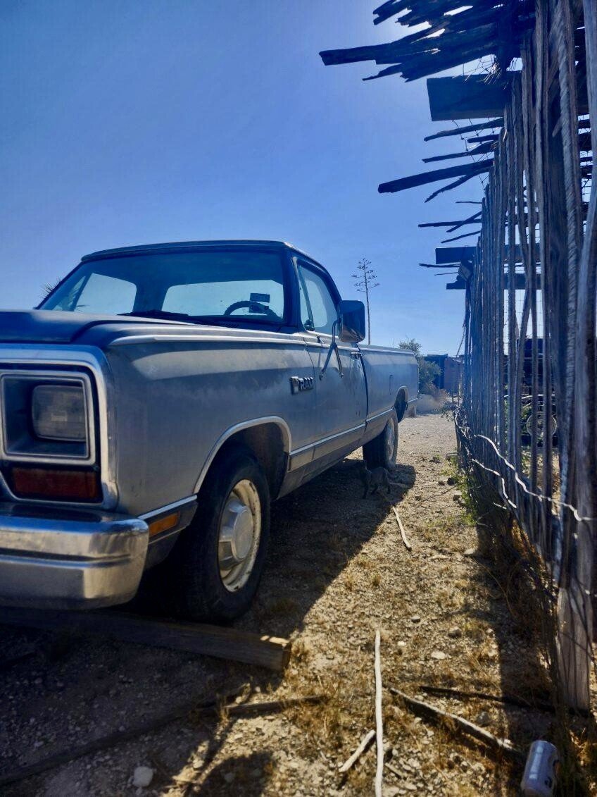 Dodge Classic Trucks for Sale - Page 7 - Classics on Autotrader