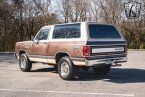 Thumbnail Photo 4 for 1983 Dodge Ramcharger
