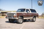 Thumbnail Photo 2 for 1983 Dodge Ramcharger