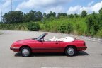 Thumbnail Photo 6 for 1983 Ford Mustang