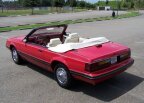 Thumbnail Photo 5 for 1983 Ford Mustang