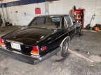 Thumbnail Photo 4 for 1983 Jaguar XJ6