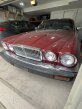 Thumbnail Photo 1 for 1983 Jaguar XJ Vanden Plas for Sale by Owner