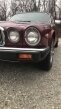 Thumbnail Photo 4 for 1983 Jaguar XJ Vanden Plas for Sale by Owner