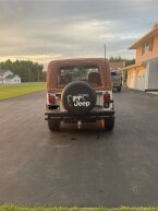 Thumbnail Photo 3 for 1983 Jeep CJ 7 Renegade for Sale by Owner