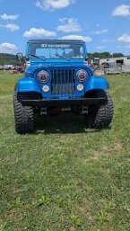 Thumbnail Photo 2 for 1983 Jeep Scrambler for Sale by Owner