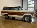 Thumbnail Photo 2 for 1983 Jeep Wagoneer