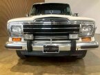 Thumbnail Photo 1 for 1983 Jeep Wagoneer