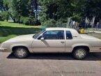 Thumbnail Photo 6 for 1983 Oldsmobile Cutlass Supreme