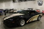 Thumbnail Photo 6 for 1983 Pontiac Firebird Trans Am