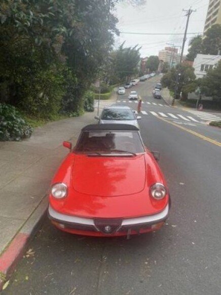 Photo 1 for 1984 Alfa Romeo Spider