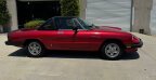 Thumbnail Photo 1 for 1984 Alfa Romeo Spider