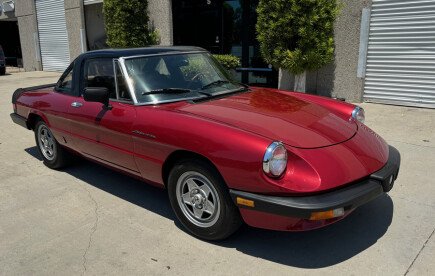 Photo 1 for 1984 Alfa Romeo Spider