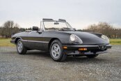 1984 Alfa Romeo Spider