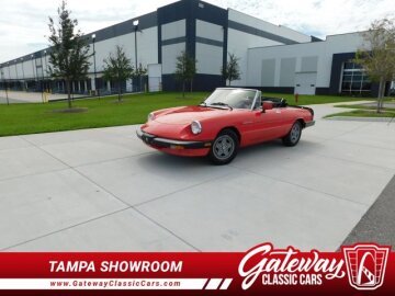 1984 Alfa Romeo Spider
