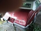 Thumbnail Photo 3 for 1984 Cadillac Seville