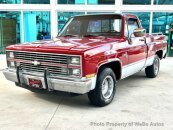 1984 Chevrolet C/K Truck 2WD Regular Cab 1500