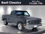 1984 Chevrolet C/K Truck 2WD Regular Cab 1500