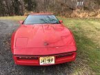 Thumbnail Photo 6 for 1984 Chevrolet Corvette