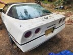 Thumbnail Photo 1 for 1984 Chevrolet Corvette