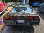 Thumbnail Photo 4 for 1984 Chevrolet Corvette Coupe for Sale by Owner