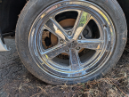 Thumbnail Photo 6 for 1984 Chevrolet S10 Pickup 2WD Regular Cab for Sale by Owner