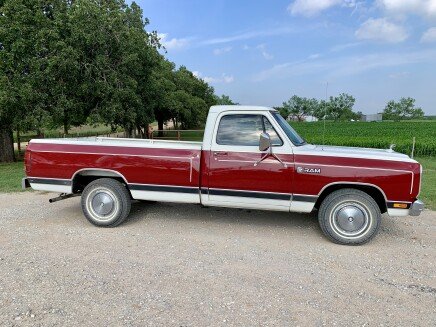 Photo 1 for 1984 Dodge D/W Truck 2WD Regular Cab for Sale by Owner