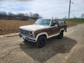 1984 Ford Bronco