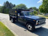 1984 Ford F350 2WD Regular Cab