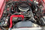 Thumbnail Photo 5 for 1984 Ford Mustang
