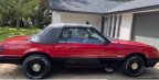 Thumbnail Photo 6 for 1984 Ford Mustang