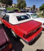 Thumbnail Photo 1 for 1984 Ford Mustang