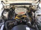 Thumbnail Photo 4 for 1984 Ford Mustang